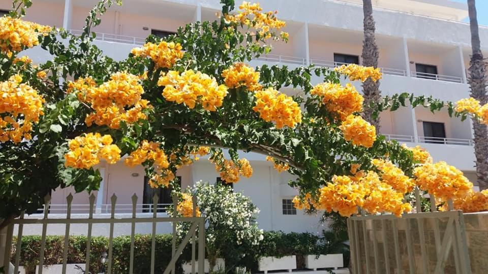 Kardamena Holiday Apartments 外观 照片