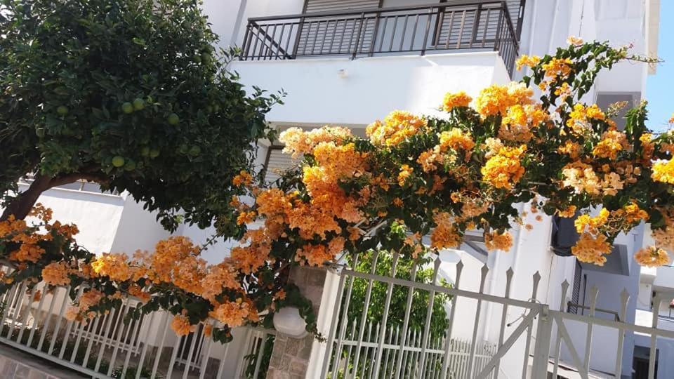 Kardamena Holiday Apartments 外观 照片