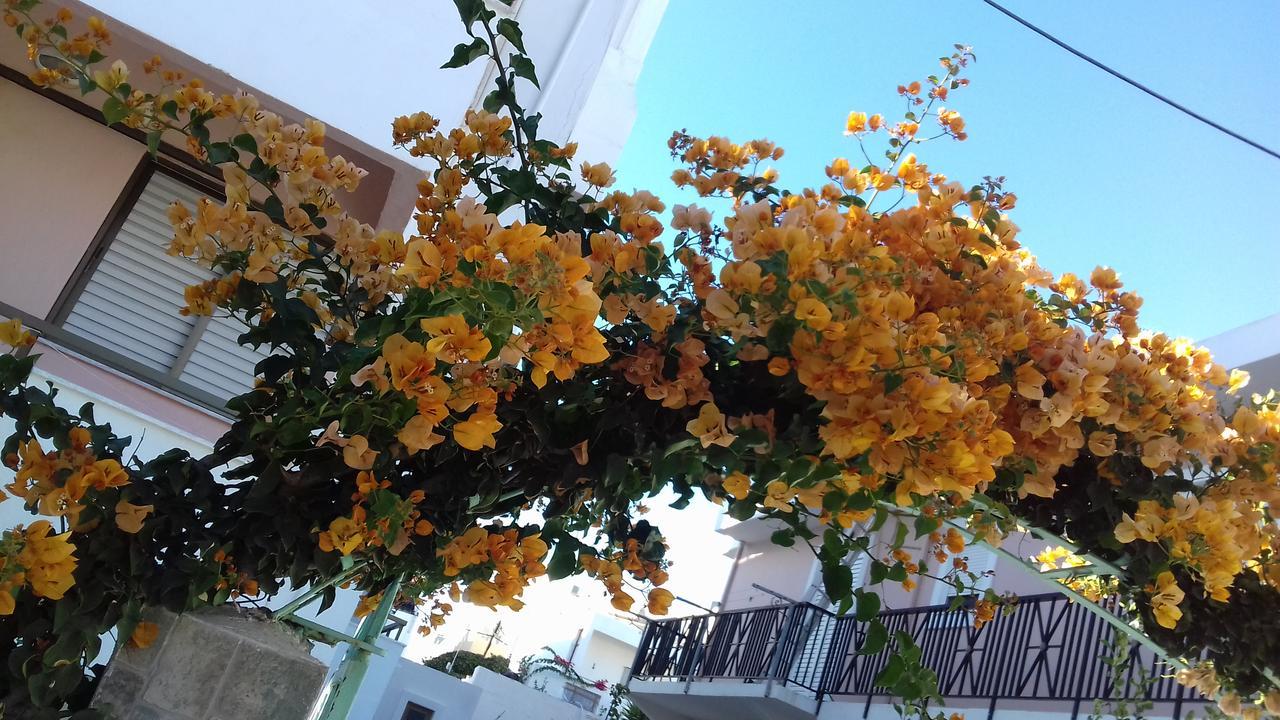 Kardamena Holiday Apartments 外观 照片